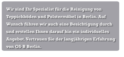 Polsterreinigung Berlin, Teppichreinigung Berlin, Polster und Teppiche in Berlin reinigen lassen